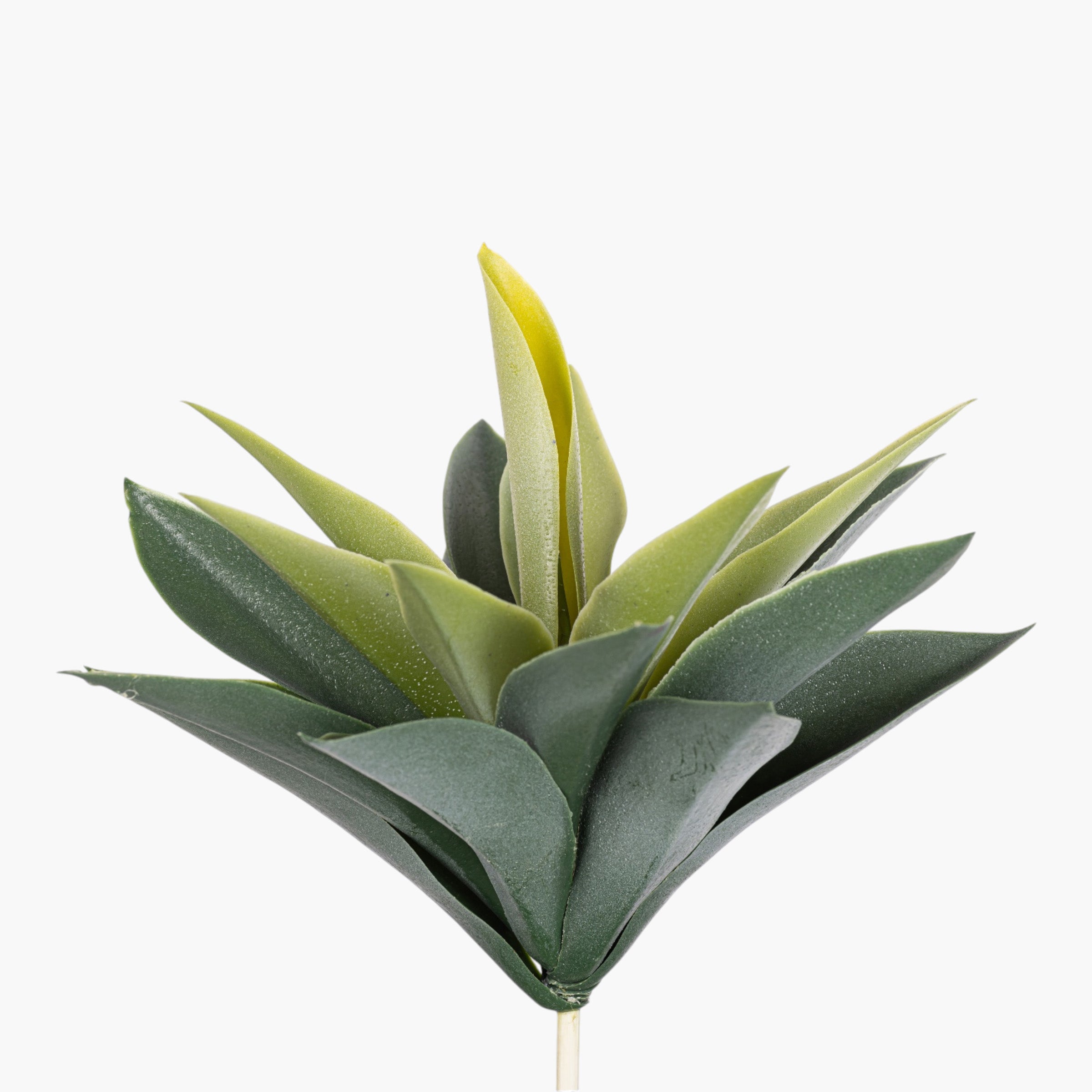 10" Agave Stem Grey/Green SU1109