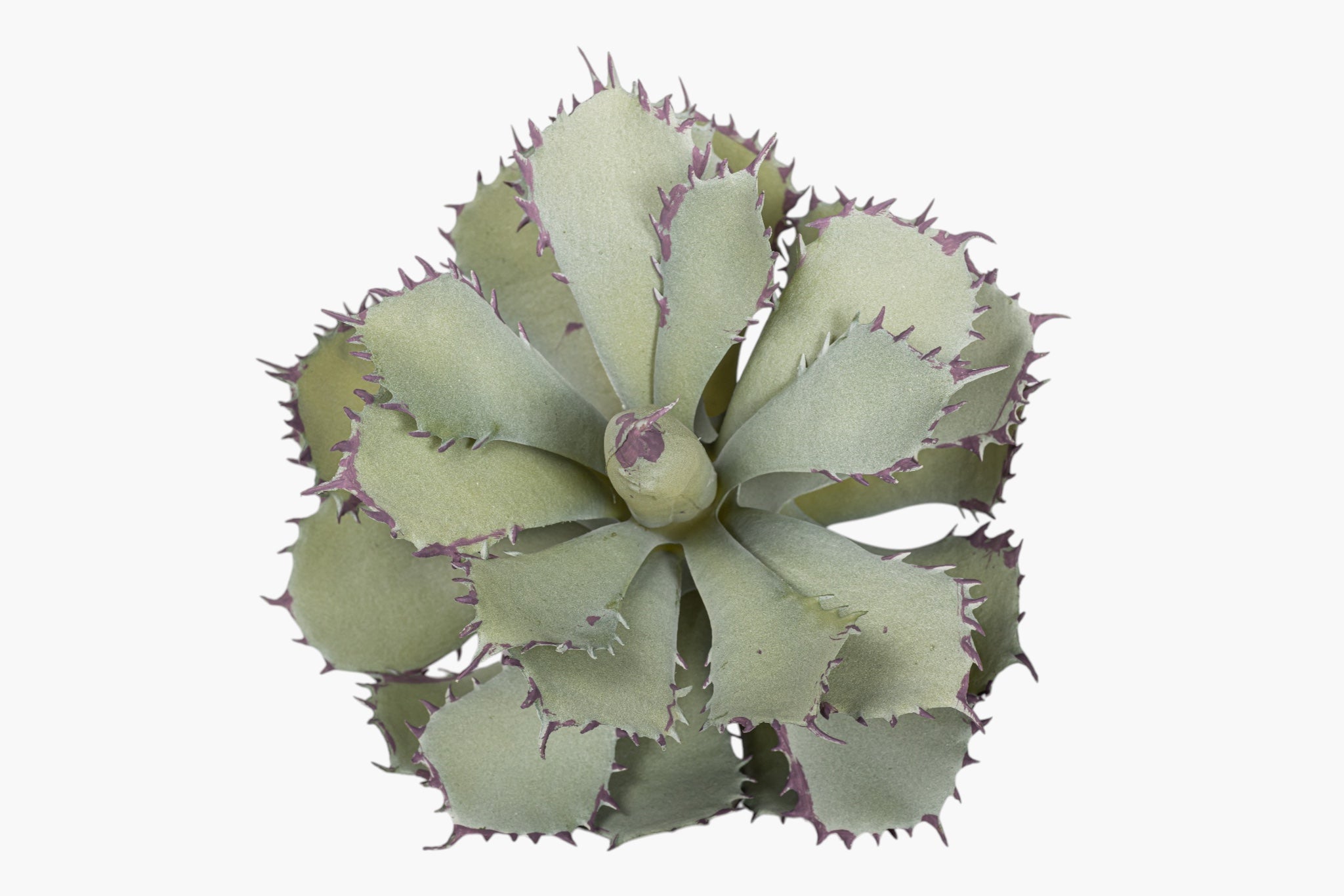 11" Succulent Stem SU1111