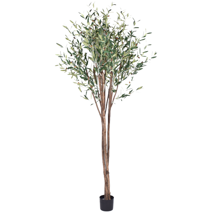 7’ Olive Tree- UV Protected   FP1267UV