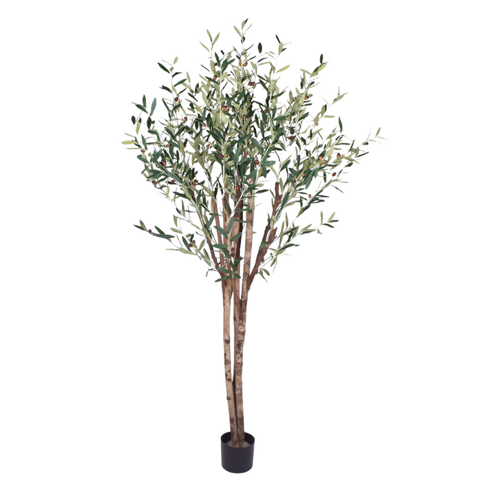 6.5’ Olive Tree- UV Protected   FP1266UV