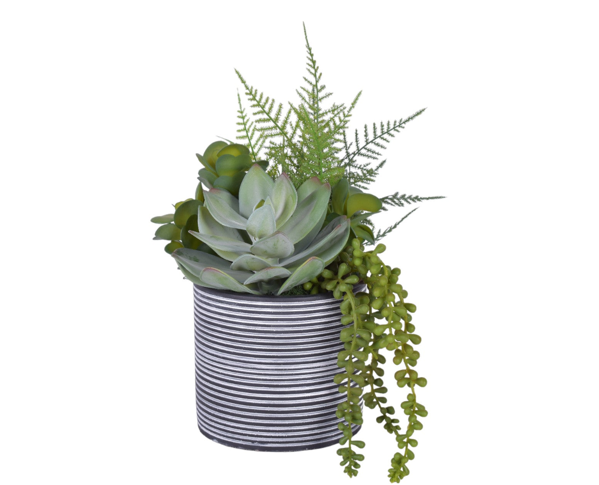 6" Stella Pot with UV Protected Succulents   AR1796UV