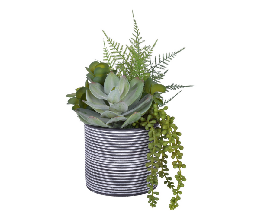 6" Stella Pot with UV Protected Succulents   AR1796