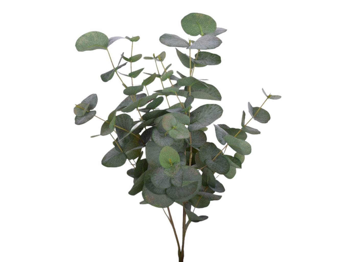 24" UV Protected Eucalyptus Stem   ST1166UV