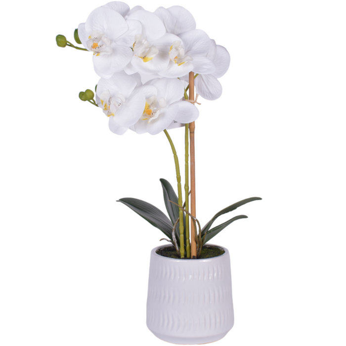 17" Real Touch Orchid Arrangement   PP1058