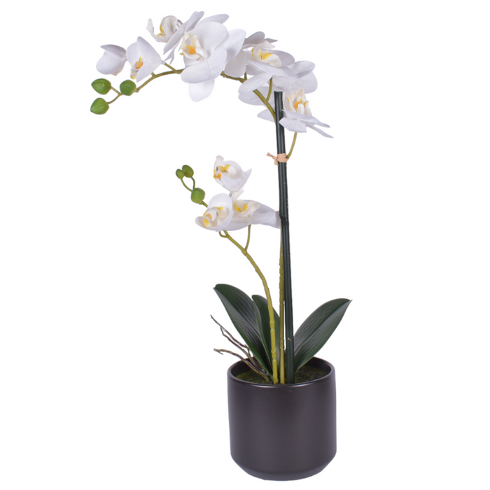 21" Real Touch Orchid Arrangement   PP1055