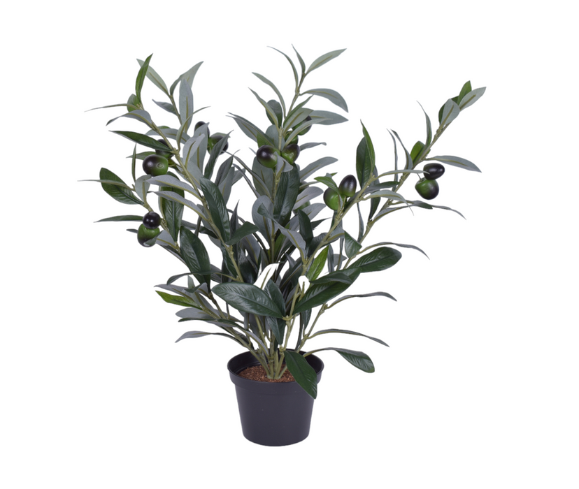 16" Olive Plant- UV Protected    PP1050
