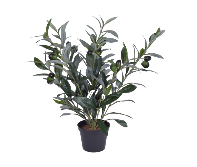 16" Potted Olive Plant- UV Protected    PP1050