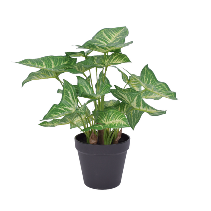 13" Potted Anthura Bush -UV Treated   PP1048