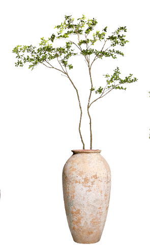 10' Gardenia Tree in Soleil Planter | PC1475CN1384LG