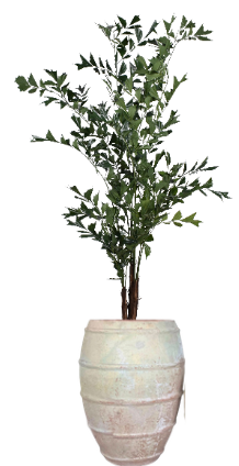 9' Fishtail Palm in Zara Planter | PC1251CN1400LG