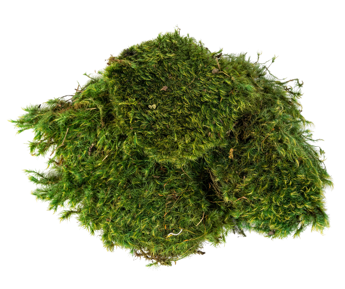 “Basketizing” - Foam with Rock or Moss Covering - 29"H+