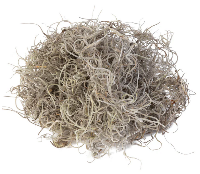 “Basketizing” - Foam with Rock or Moss Covering - 10-14"H