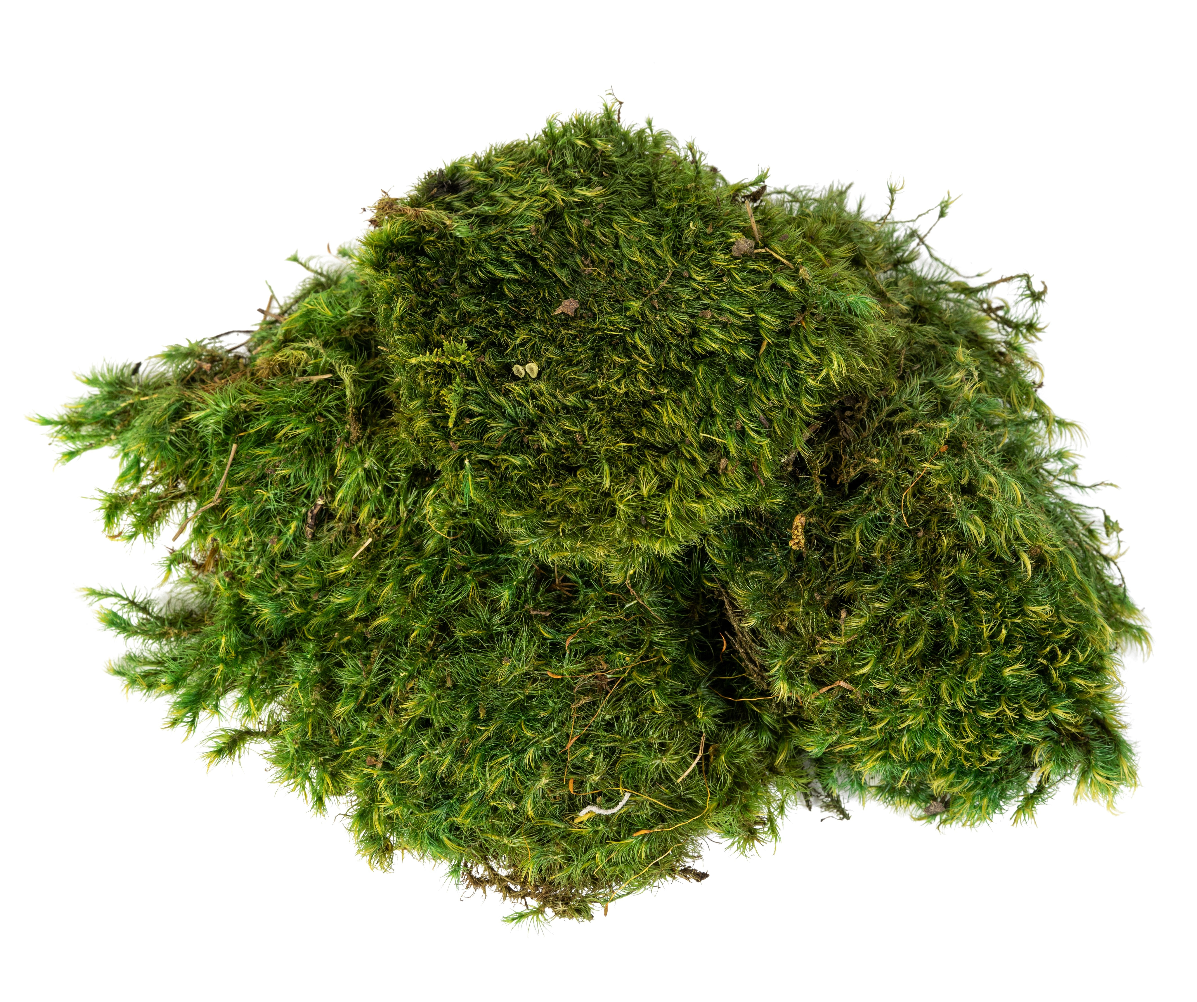 “Basketizing” - Foam with Rock or Moss Covering - 21"-28"H