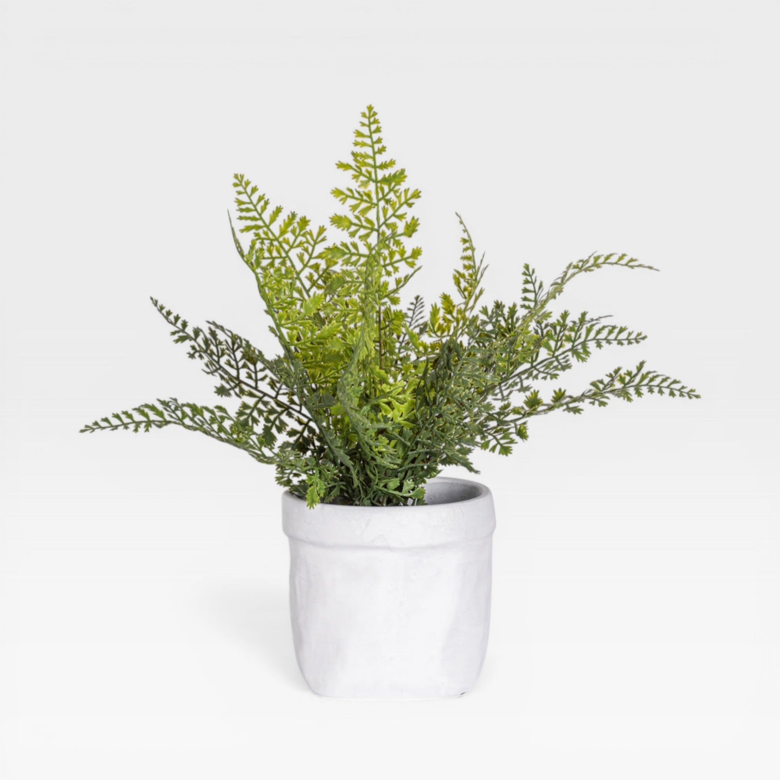 15" Fern Arrangement AR1931