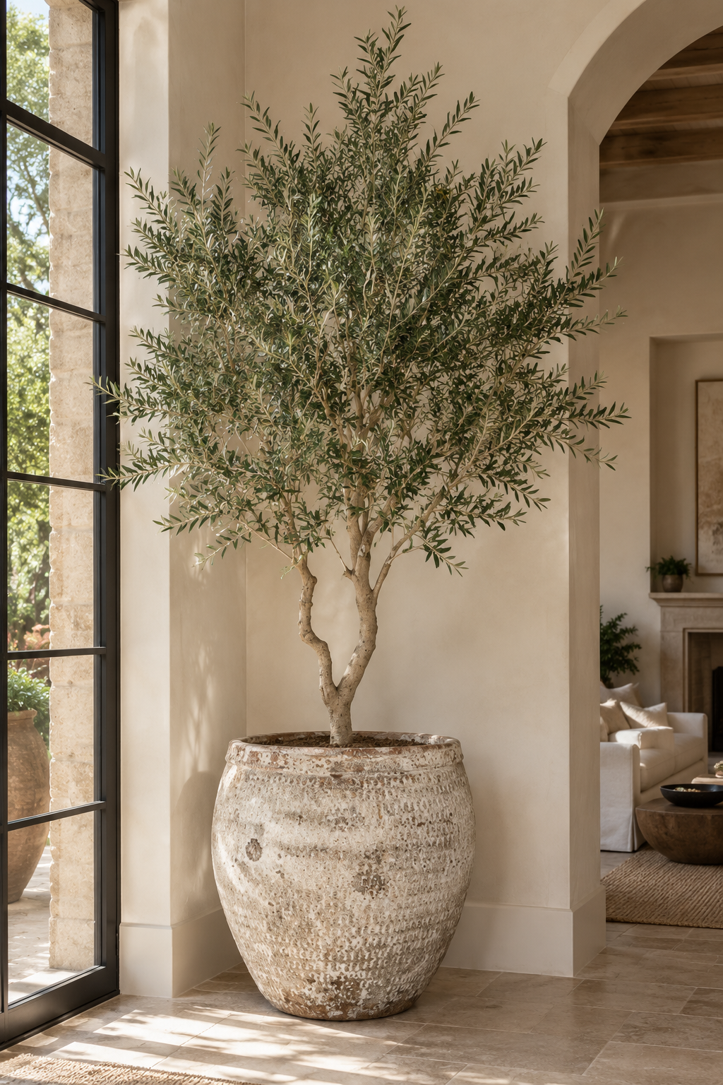 10' Olive Tree in Sable Planter | PC1420CN1436