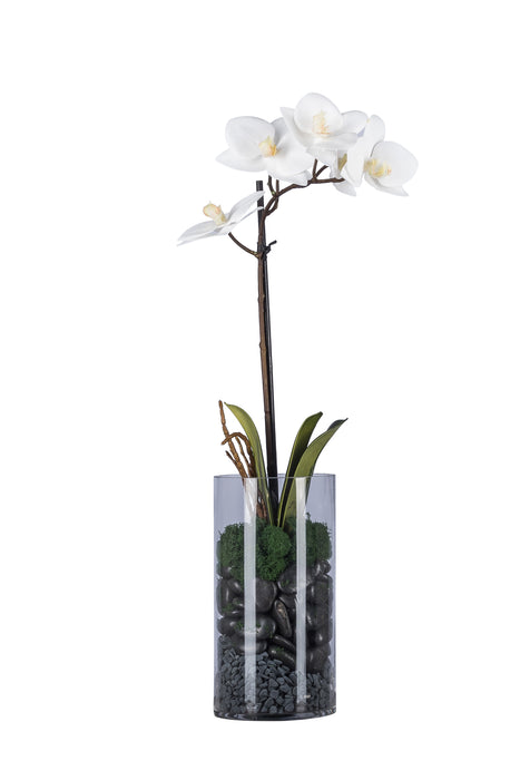 Mazzy Vase with White Orchid AR1037