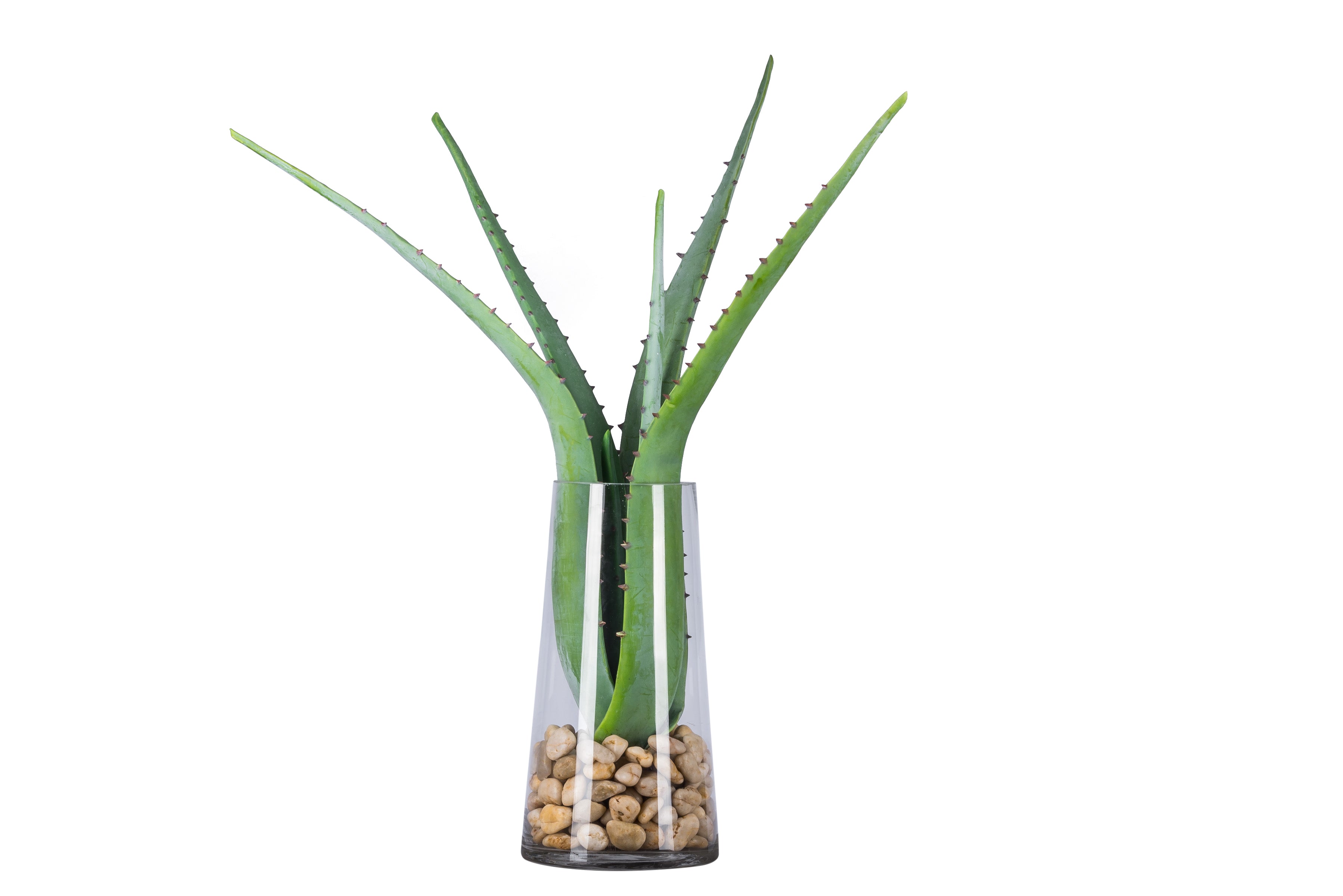 30" Aloe Stem  AV1016