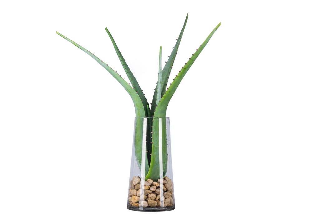 12" Mazzy Tapered Vase with Large Aloe   AR1038