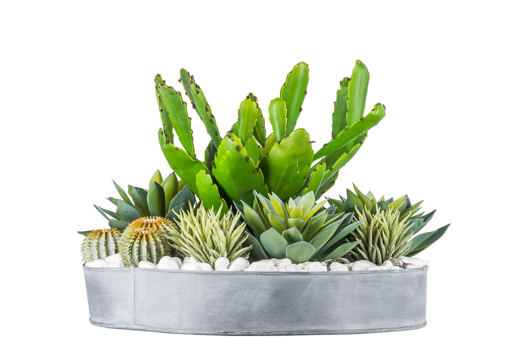 16”W Metal Bowl with Succulents AR1040