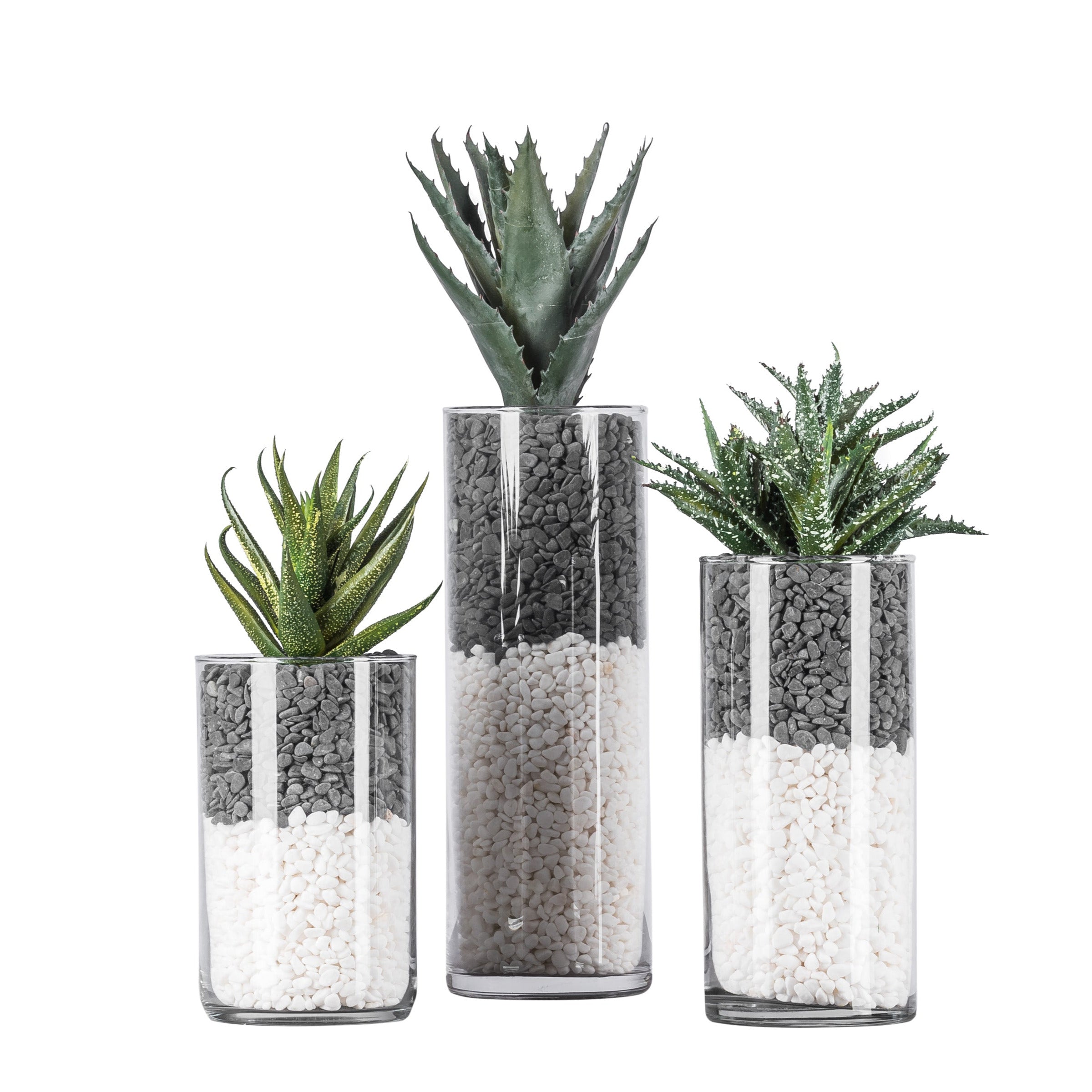 Ebony and Ivory Glass Vase Trio with Rocks and Succulents   AR1066