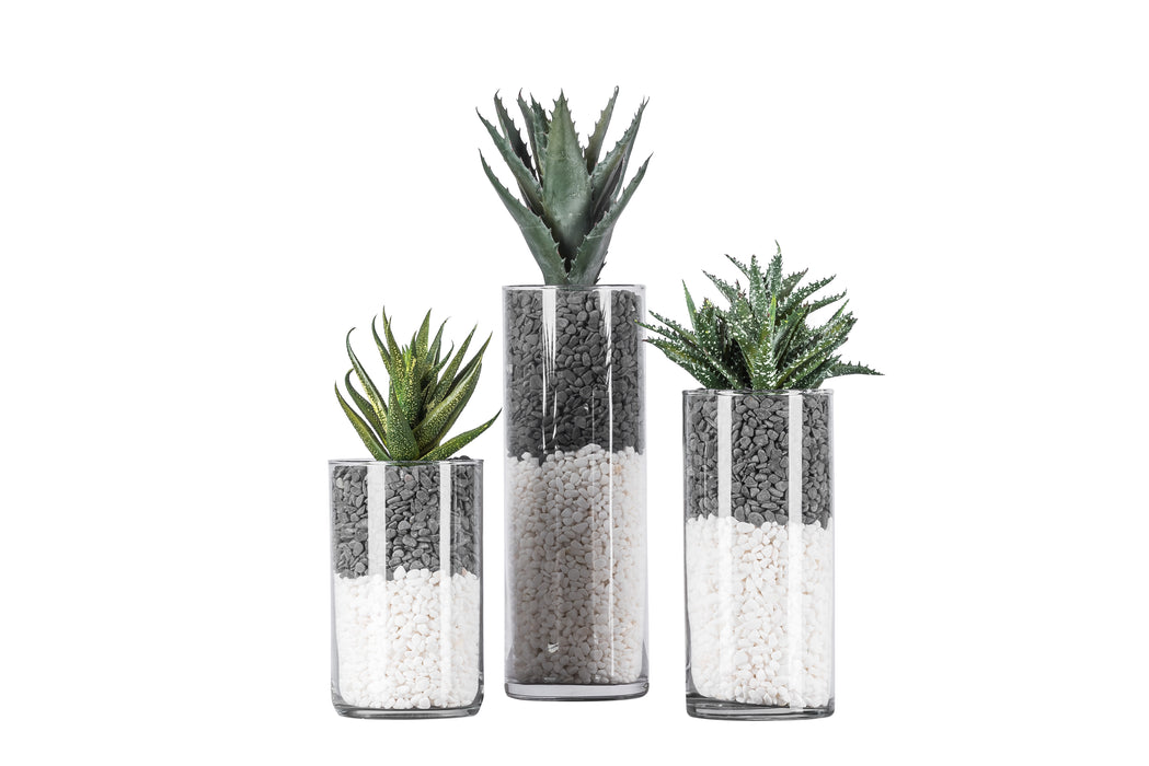 Ebony and Ivory Glass Vase Trio with Rocks and Succulents   AR1066