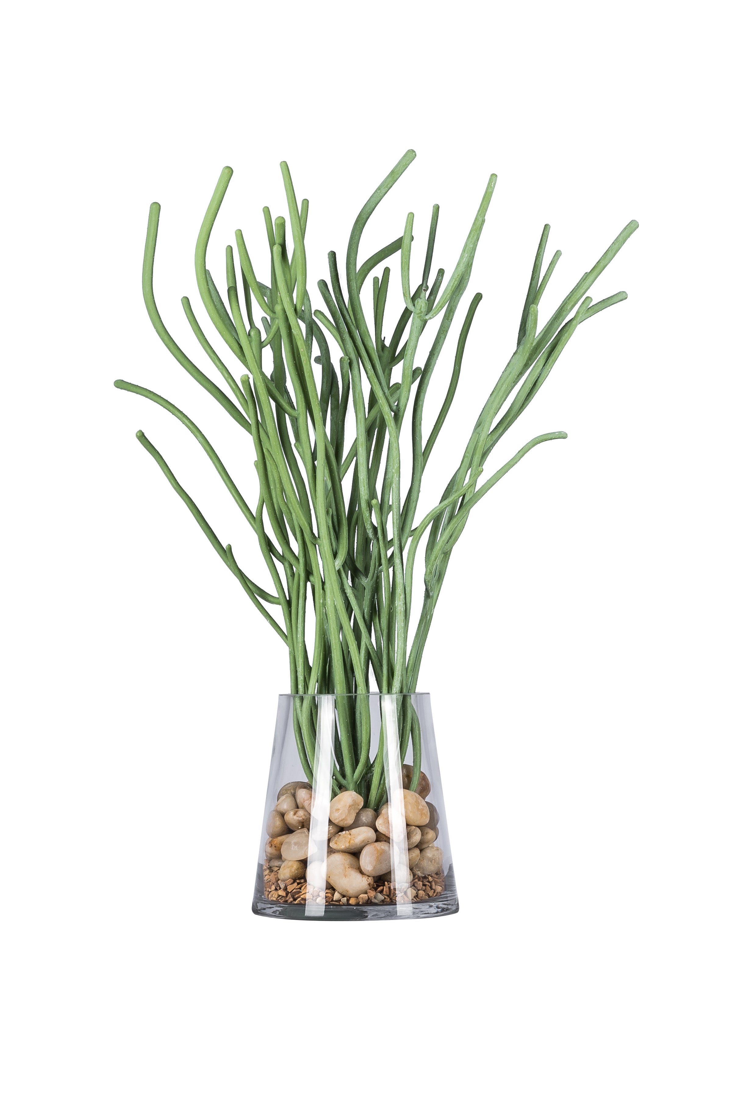 20" Rhipsalis Spray   ST1029