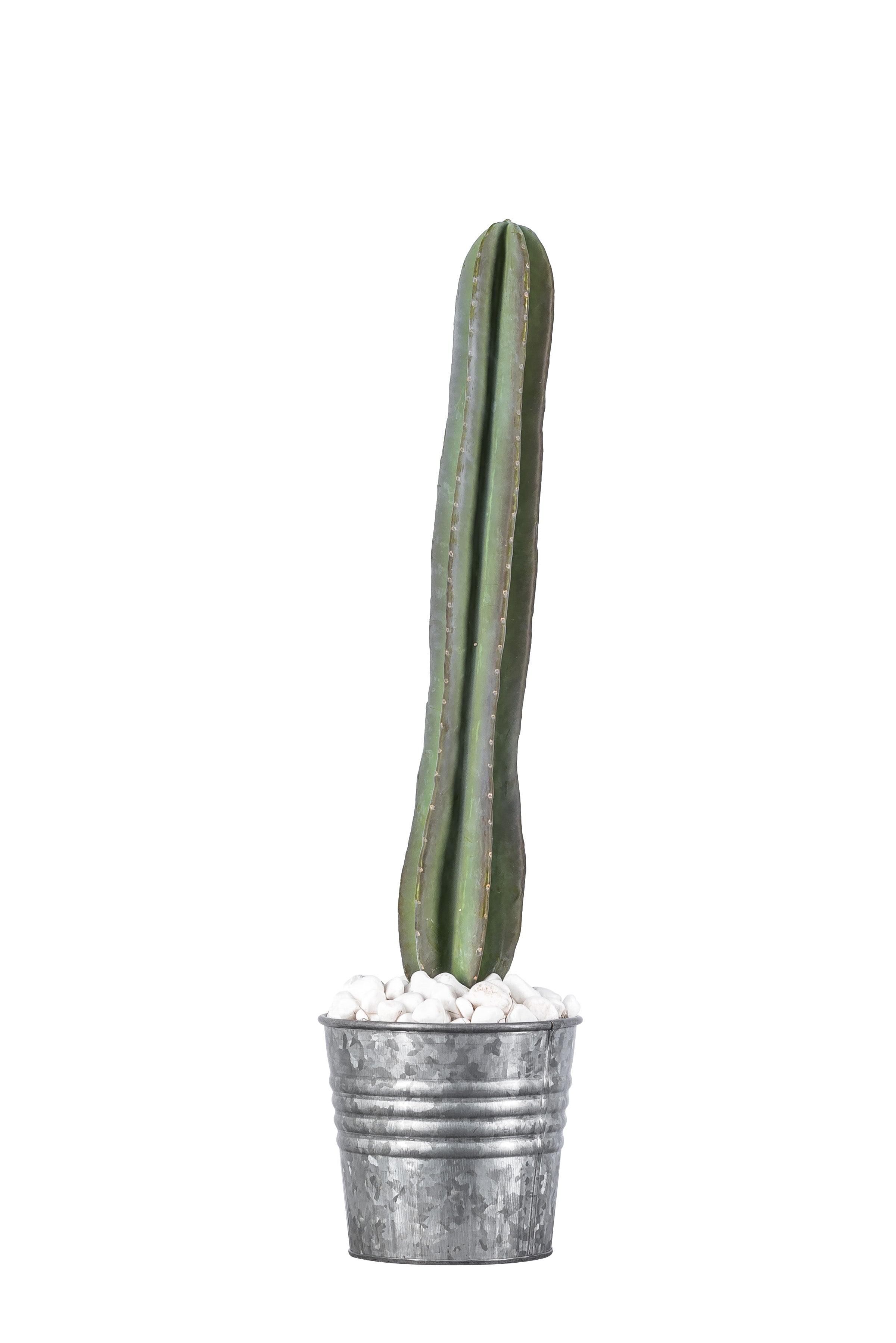 26" Barrel Cactus Stem  CC1014