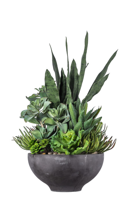 Succulent Arrangement in Black Bowl AR1061