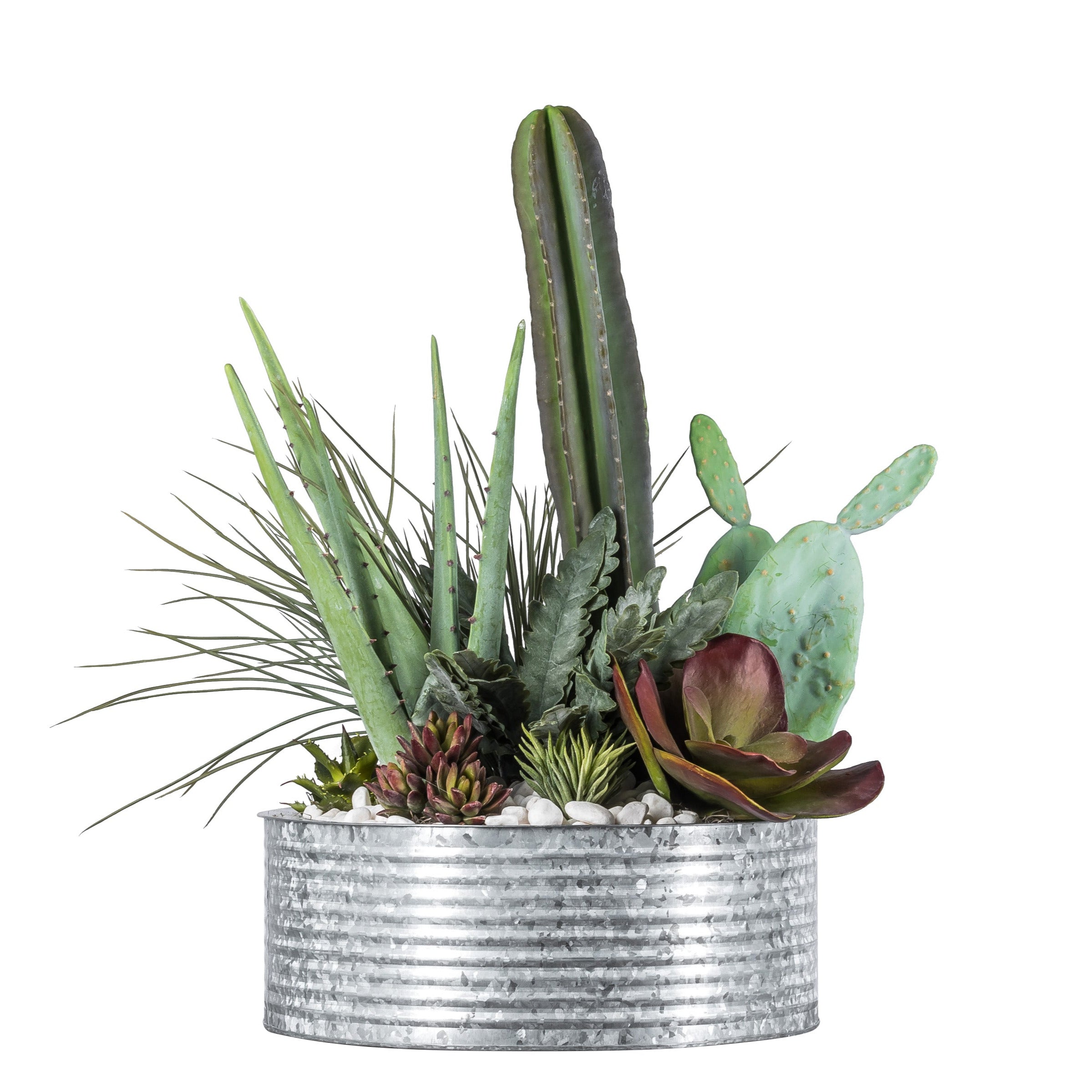 16" Magnolia Bowl with Succulents and Cactus  AR1056