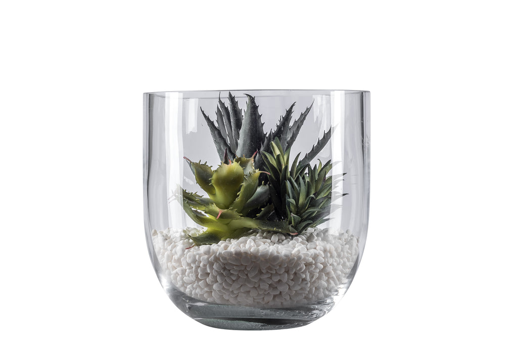 8" Colie Bowl with Succulents AR1047