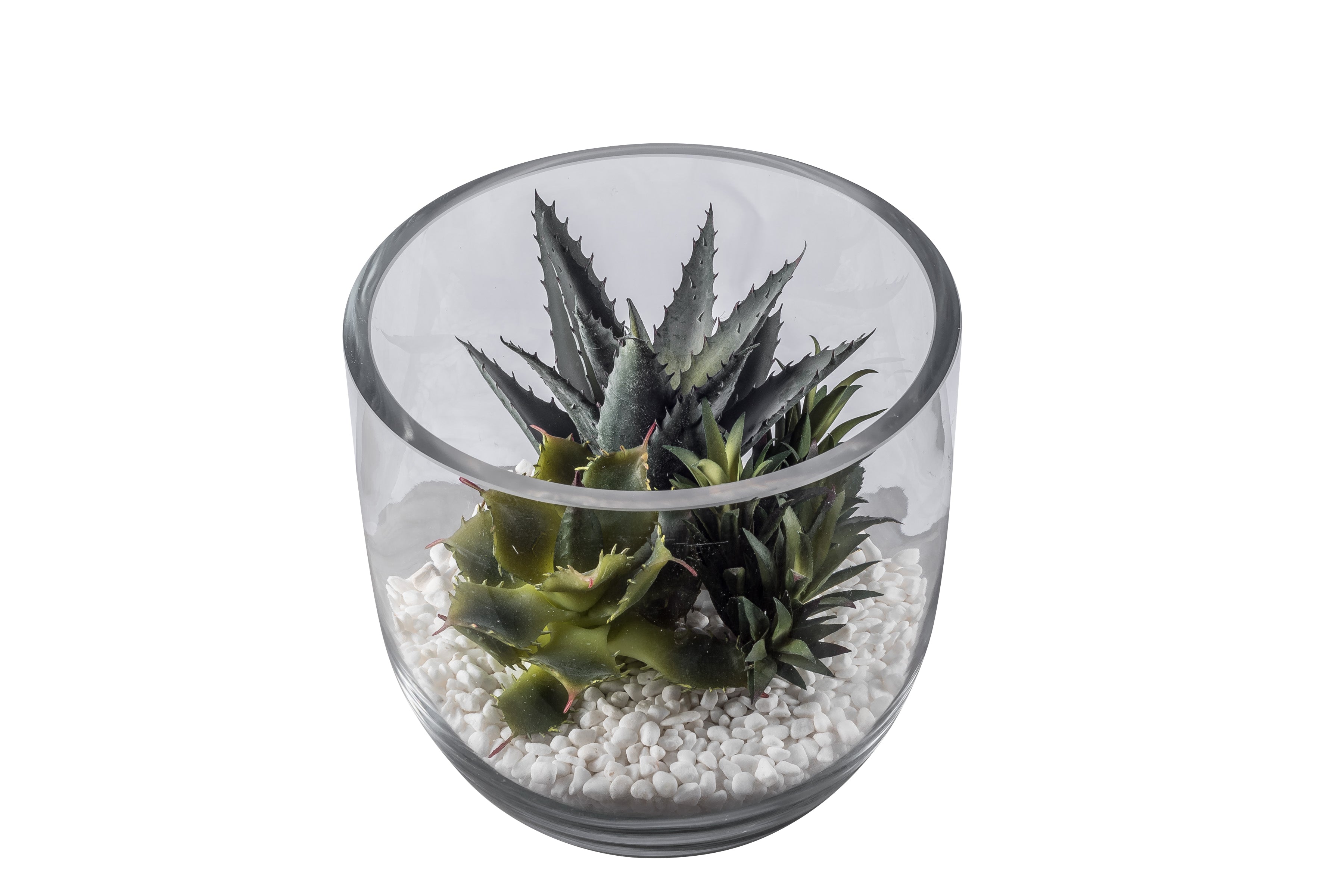 8" Colie Bowl with Succulents AR1047