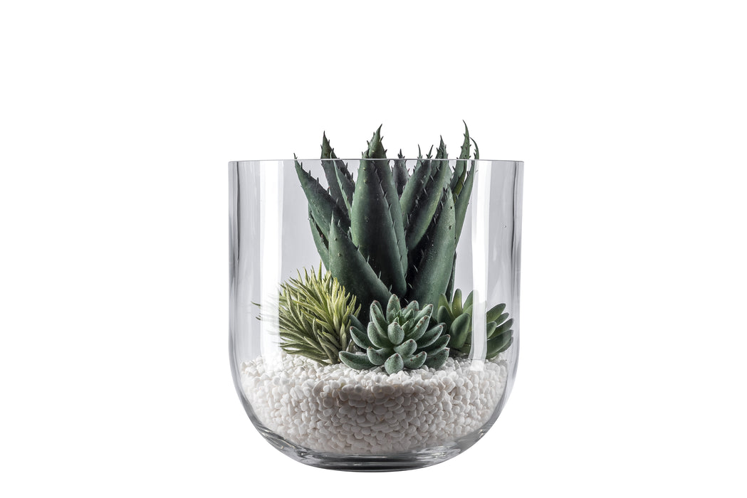 10" Colie Bowl Glass Vase with Succulents AR1046