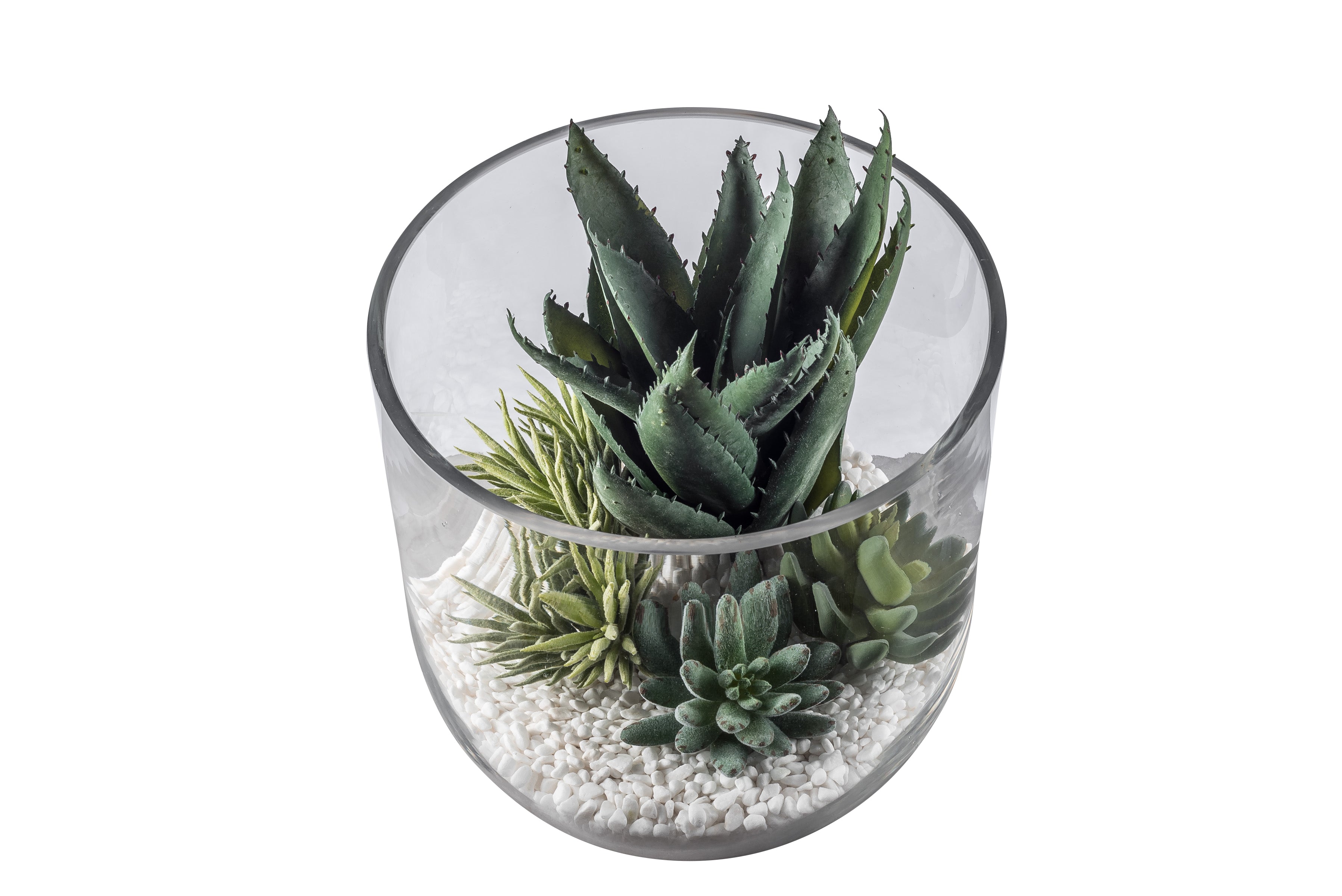 10" Colie Bowl Glass Vase with Succulents AR1046