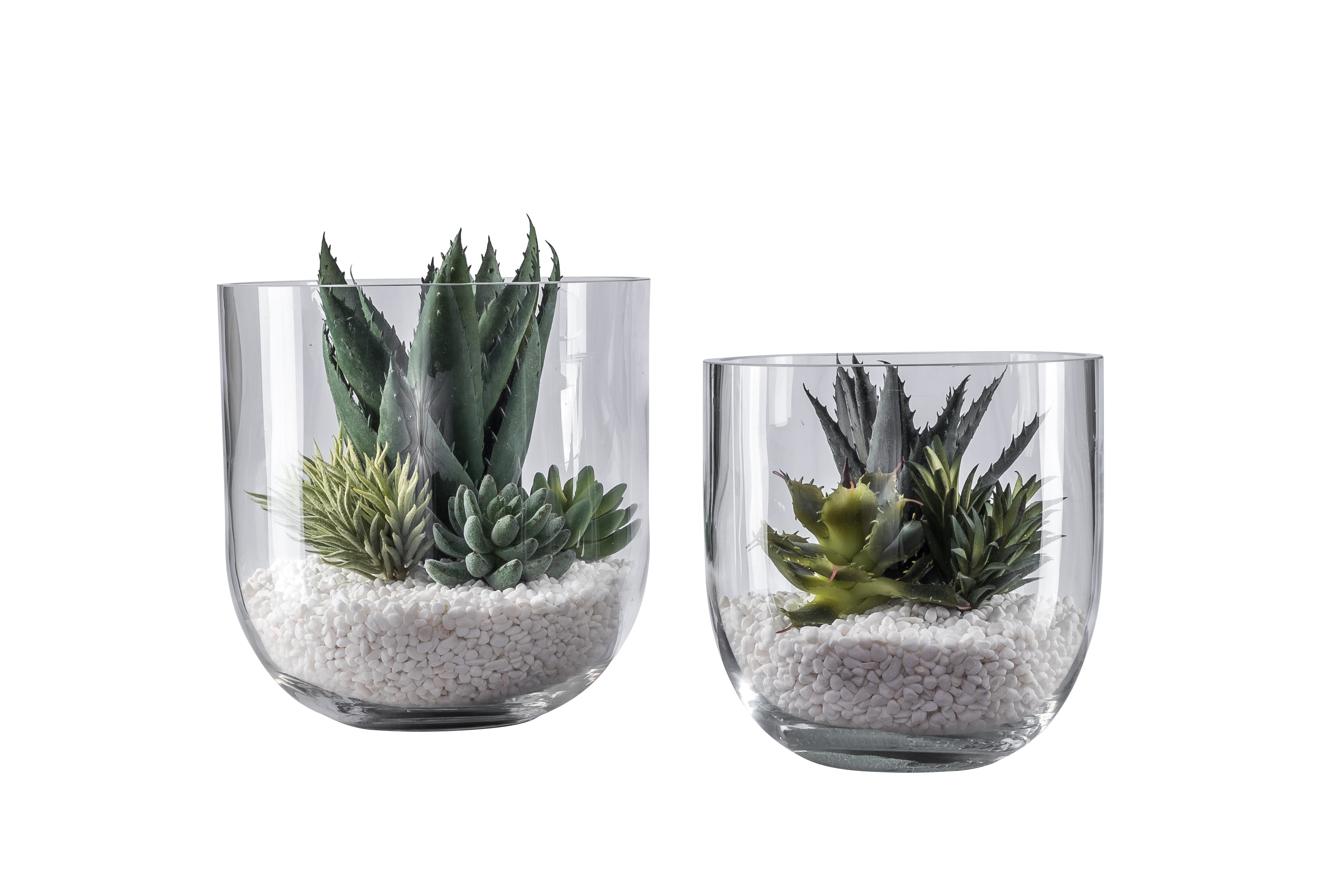 Colie Bowl Set with Succulent Arrangements  AR1048