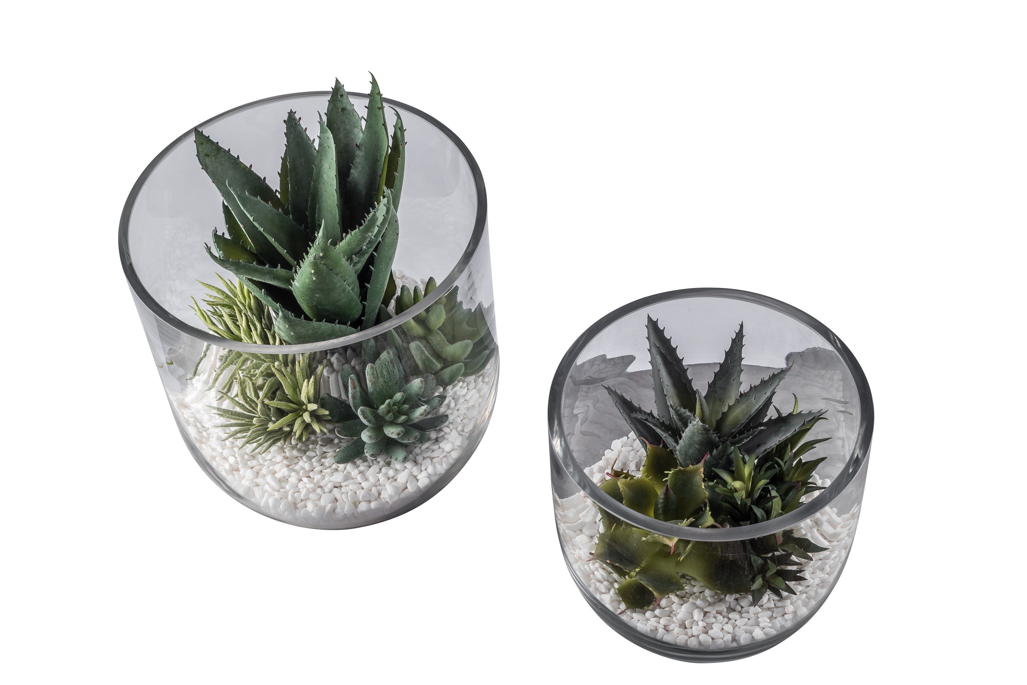 Colie Bowl Set with Succulent Arrangements  AR1048