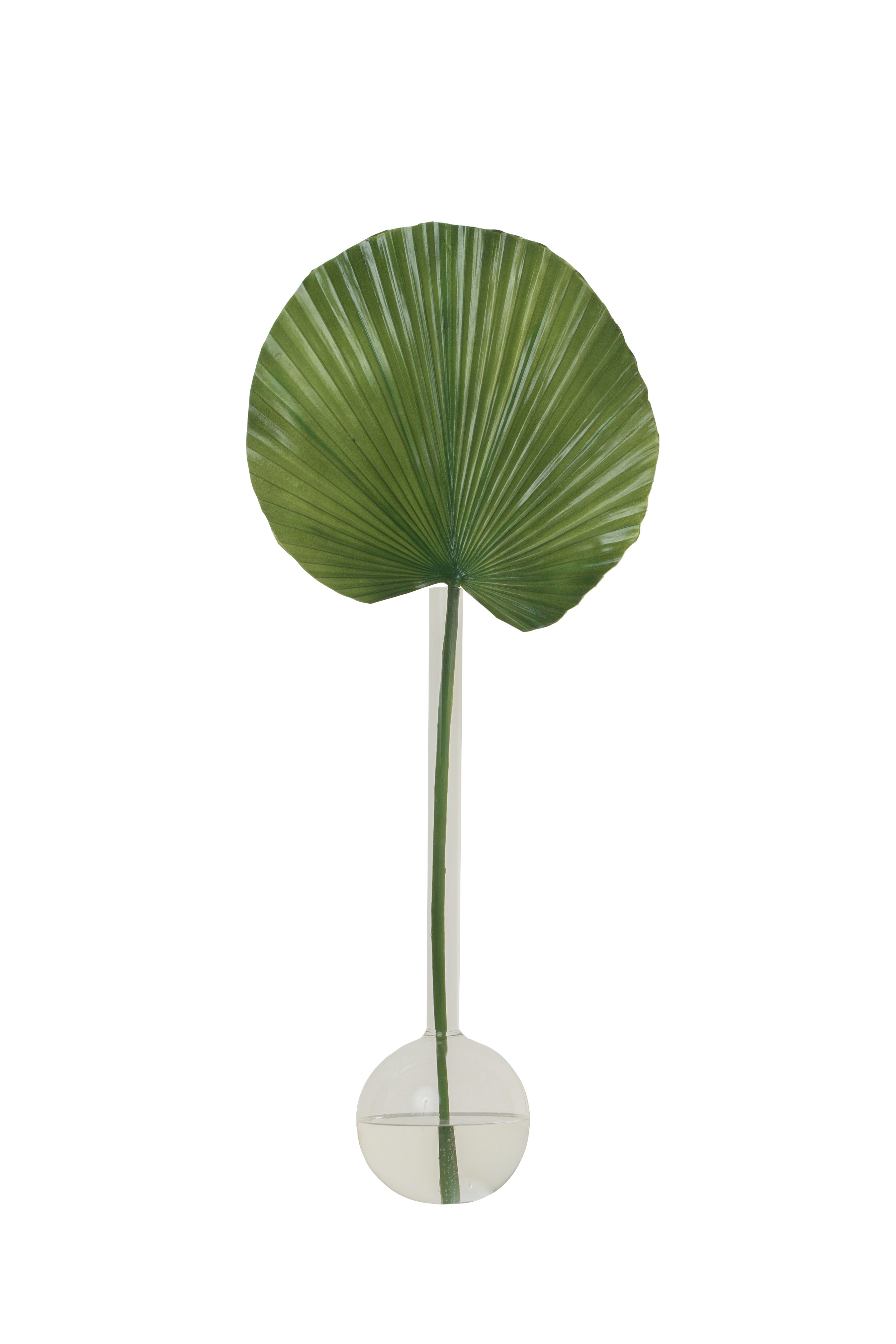 21” Bob a Loba Vase with Fan Palm Leaf AR1615