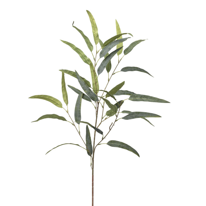 Long Leaf Eucalyptus Stem    ST1109