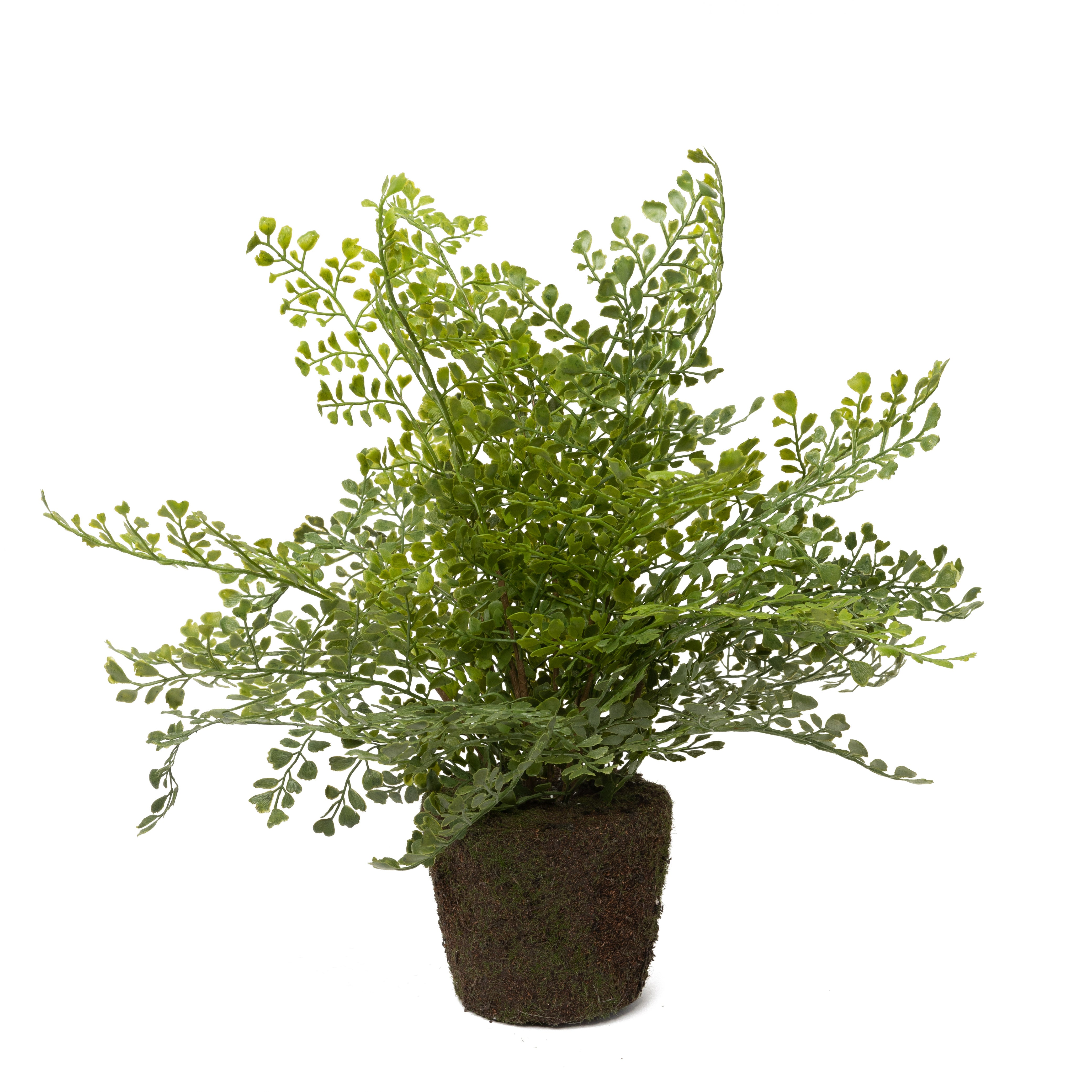 18" Drop In Maidenhair Fern    PP1038