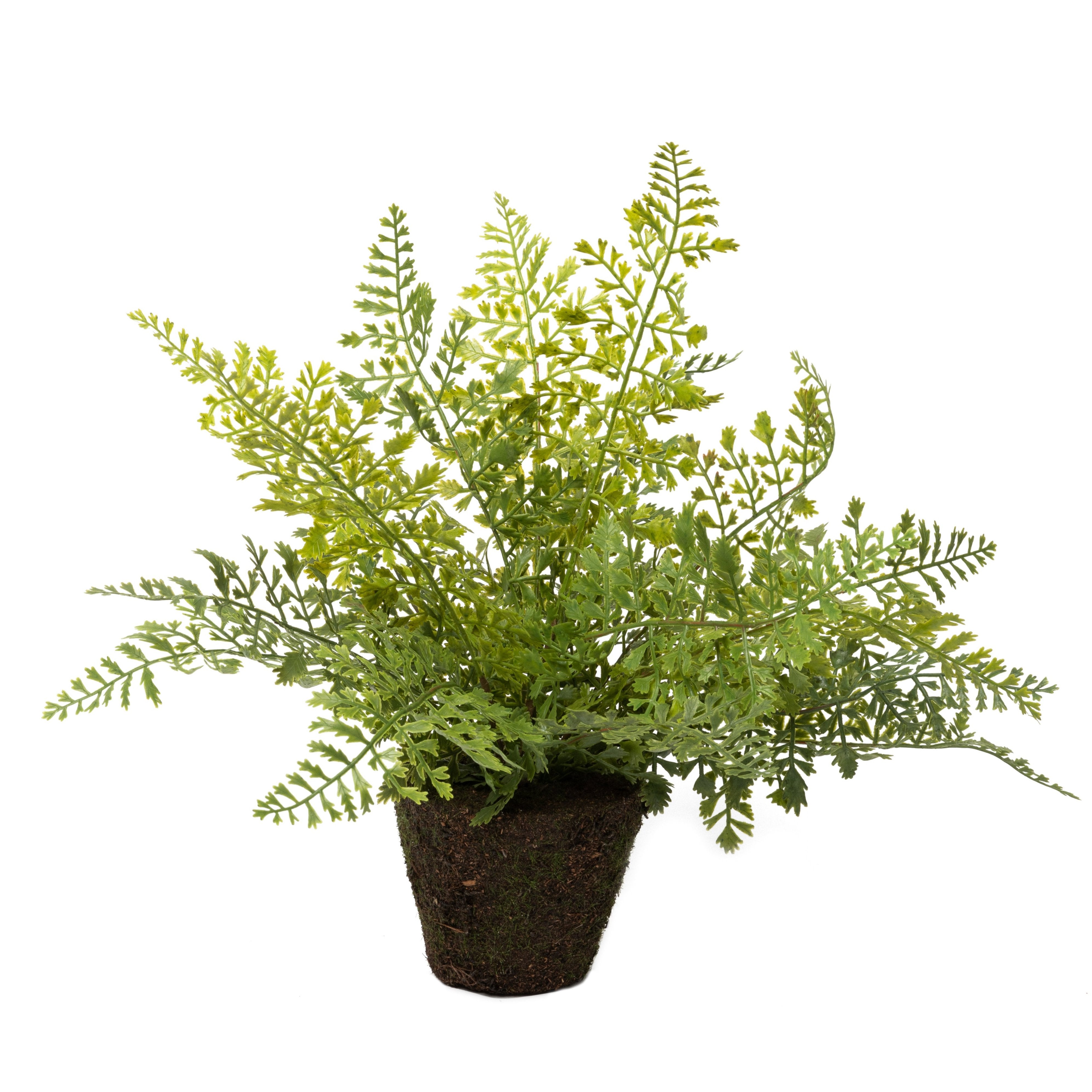 15" Drop In Maidenhair Fern    PP1037