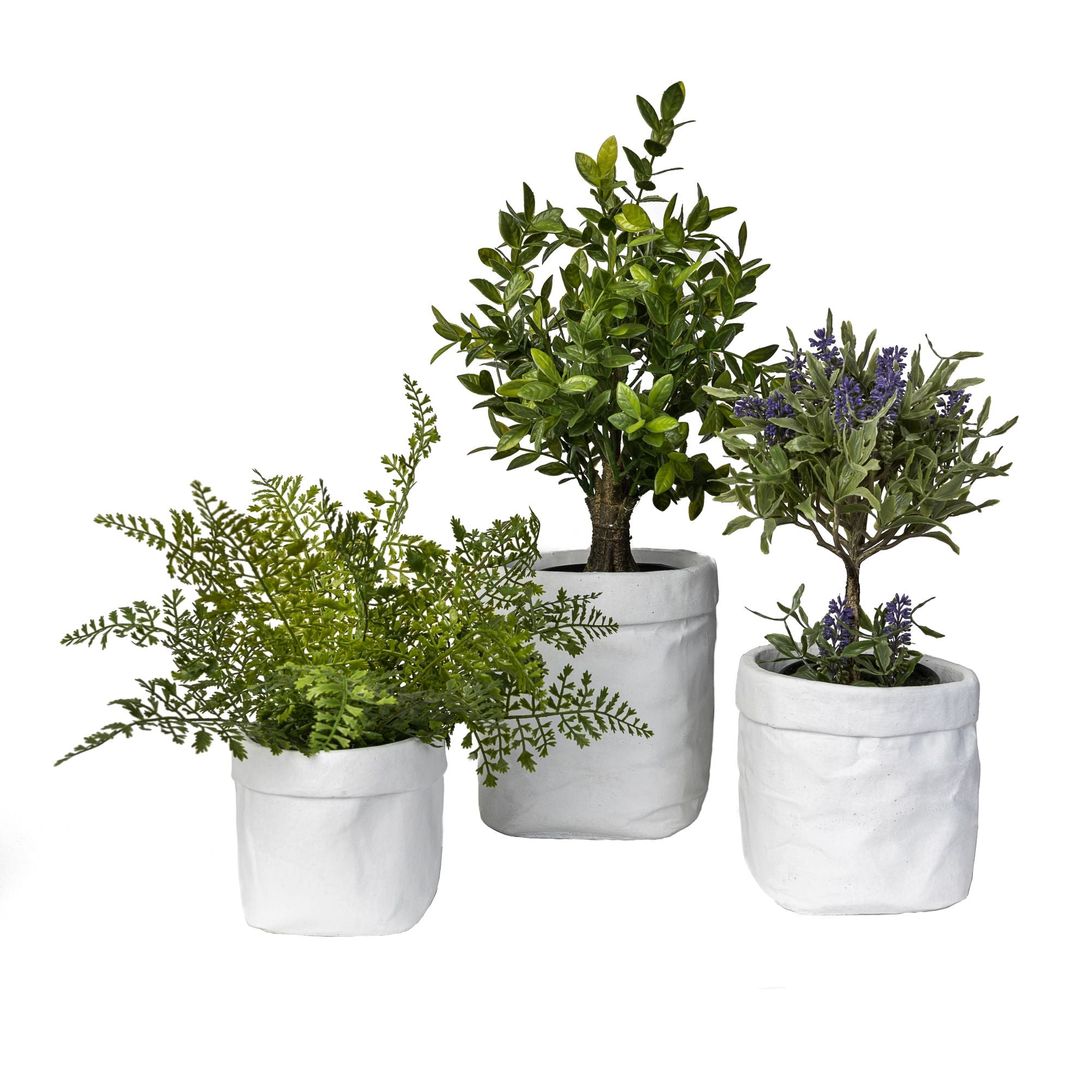 Herb Pot    CN1053