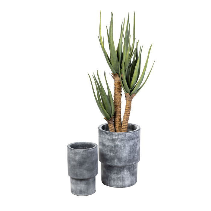 4’ Aloe Plant in a Large Grey Lucca with Black Rocks  PC1117GYLU