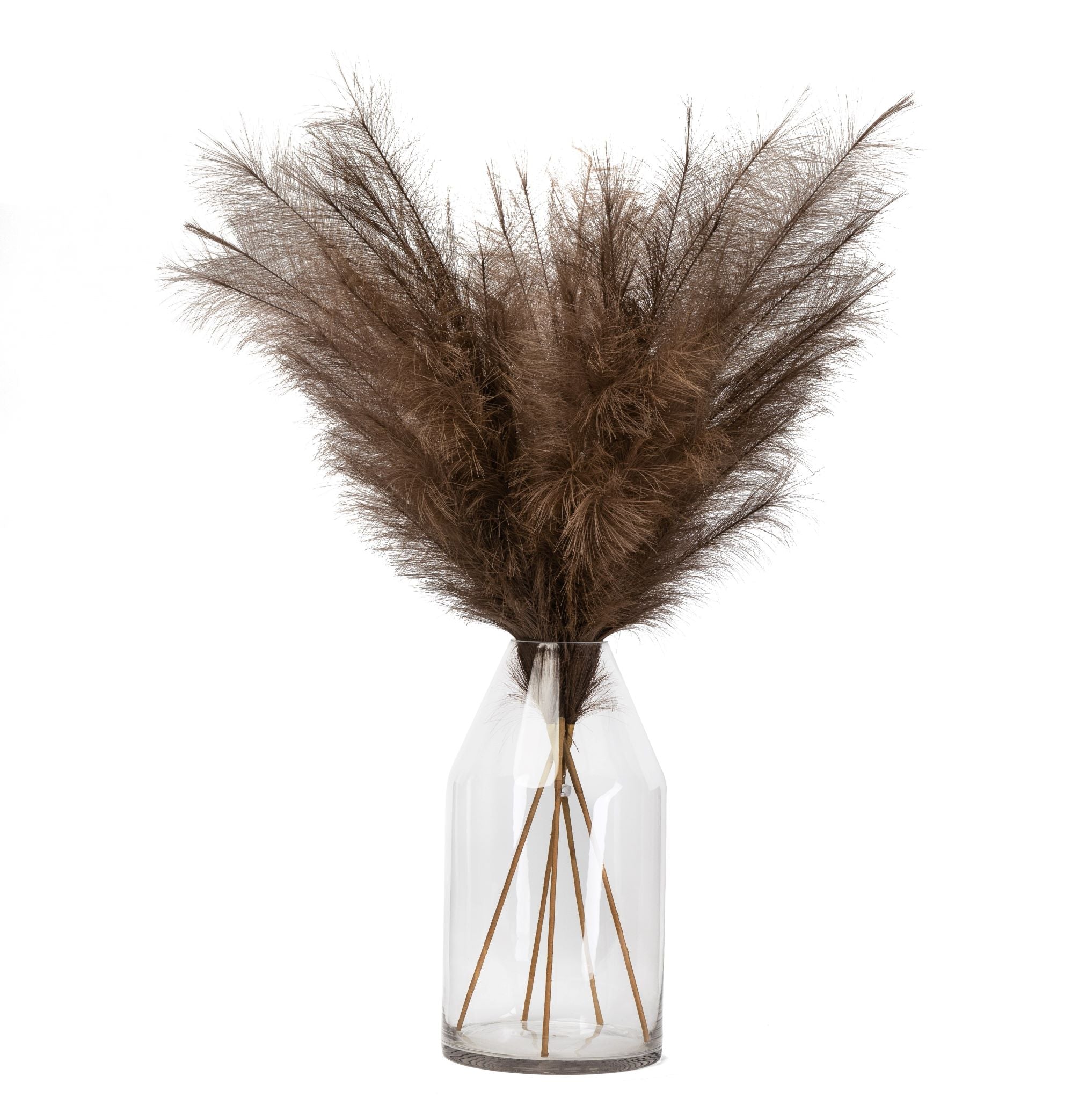 Faux Dark Brown Pampas Grass   ST1104