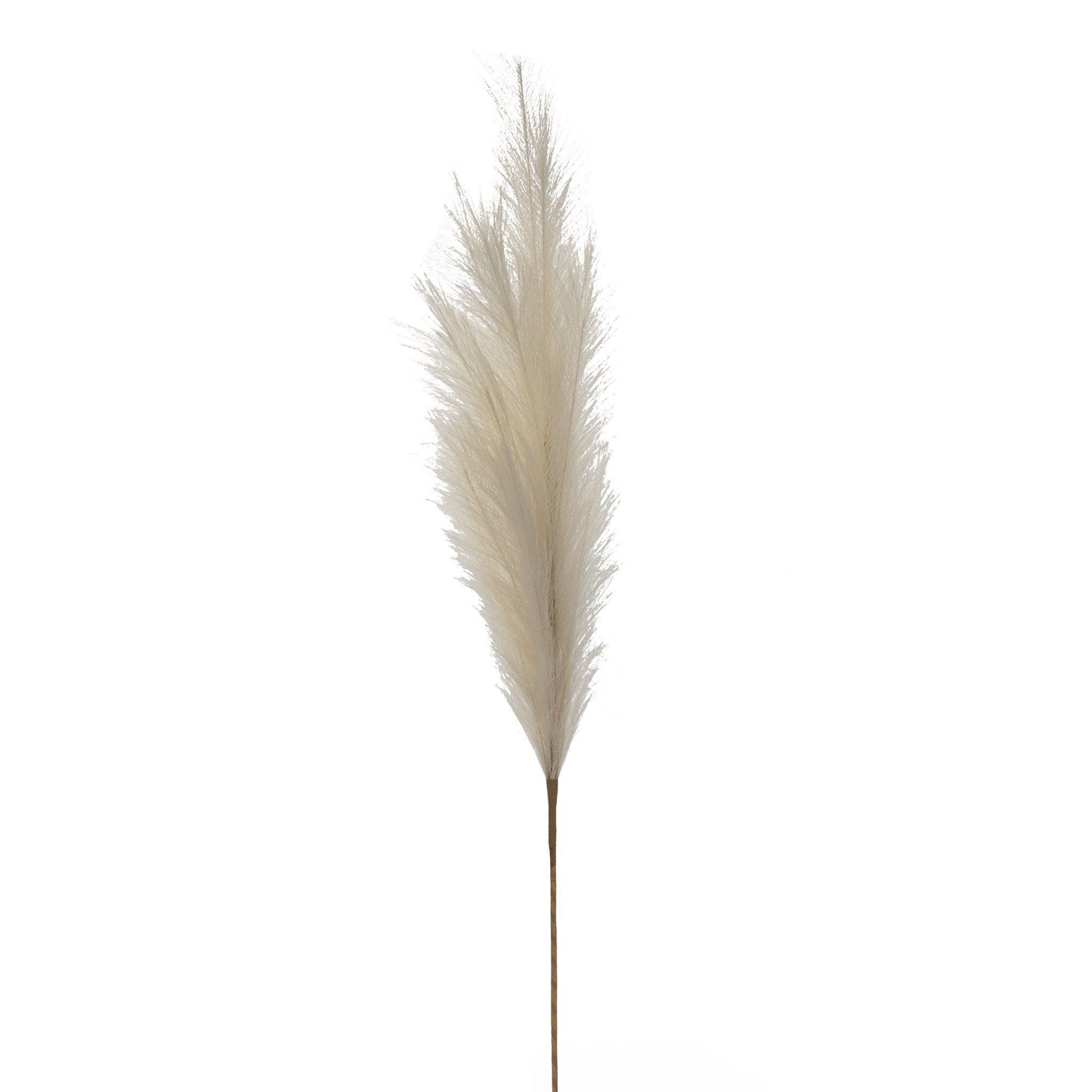 Faux Cream Pampas Grass   ST1101