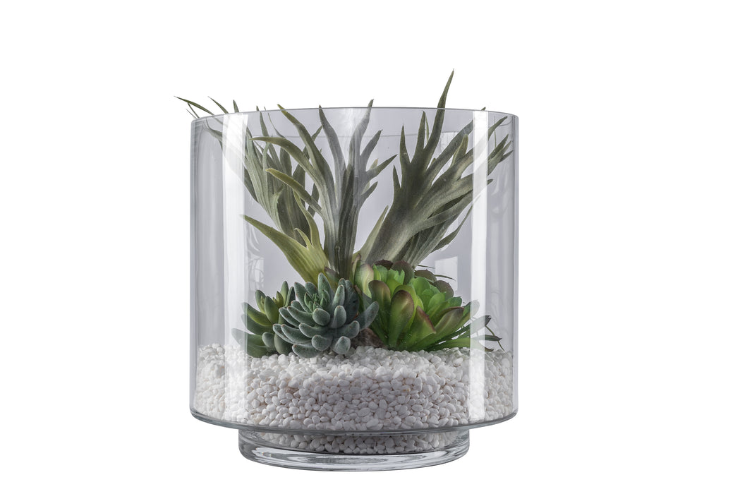 12" Chalet Glass Vase with Succulents  AR1063