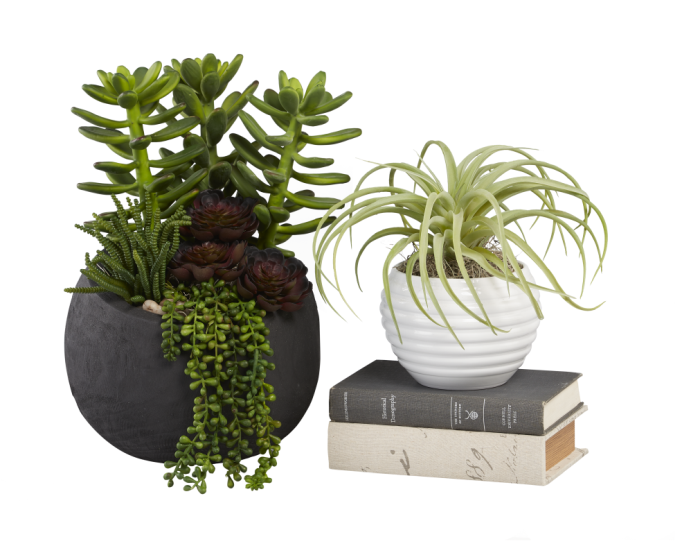 10” Black Sedona Wood Bowl with Mixed Succulents AR1001