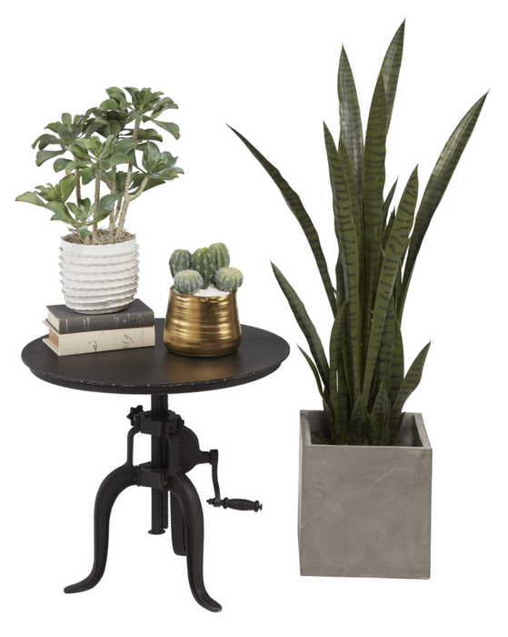7” Artsi Pot with Tall Succulents AR1005