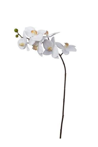 28" Phalaenopsis 6 Flowers with Dark Stem   FL1008