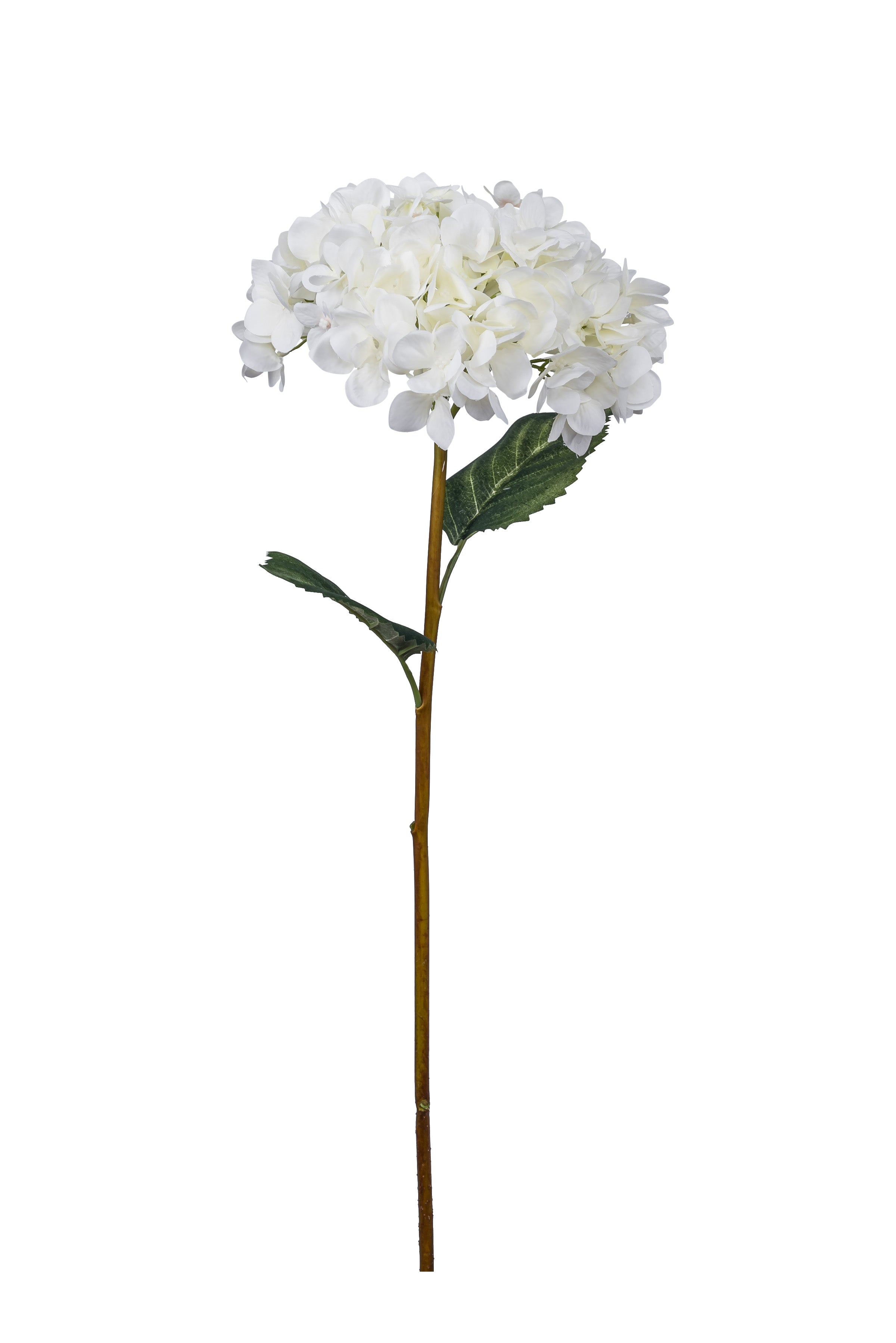 26.5" Cream Hydrangea Spray with 2 Leaves   FL1011