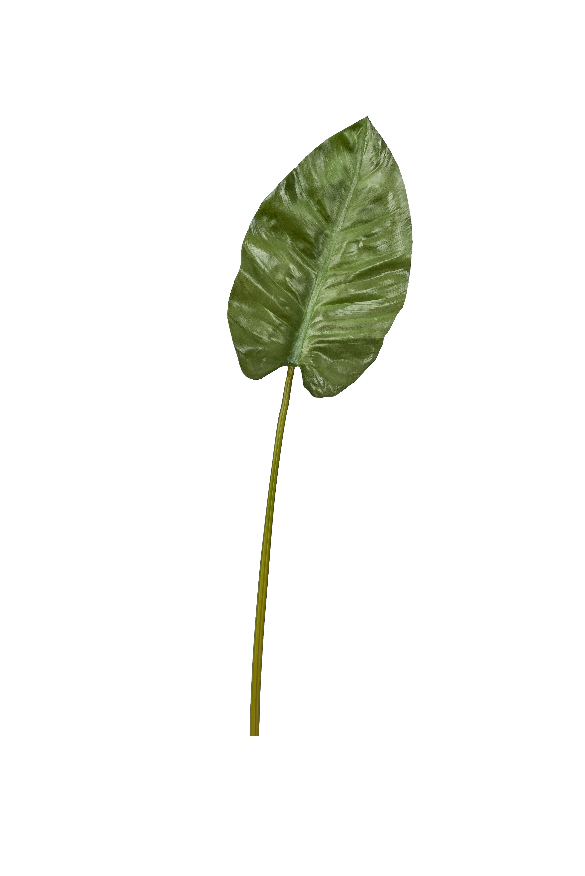 30" Anthurium Leaf   ST1018