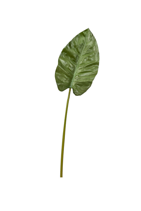 30" Anthurium Leaf   ST1018
